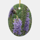 Search for bumblebee christmas tree decorations Photography