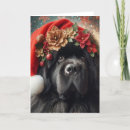 Search for newfies cards Newfy
