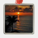Search for cancun christmas tree decorations Tropical