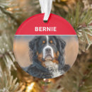 Search for bernese mountain dog christmas tree decorations Dogs