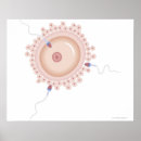 Search for genes posters Medical