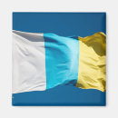 Search for canary magnets Flag