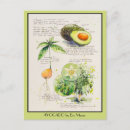 Search for seeds illustrations postcards Botanical