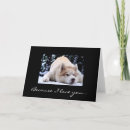 Search for husky valentines day cards Dog