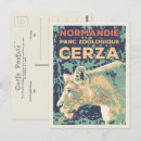 Search for lioness postcards Zoo