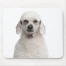 Search for 1 year old mousepads Full length