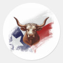 Search for texas flag star stickers White