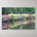 Search for azalea posters Flower