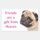 Search for pug in heaven Puppy