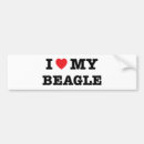 Search for beagle bumper stickers Puppy