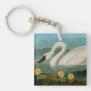 Search for common key rings Nature