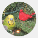 Search for parakeet stickers Cute