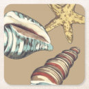 Search for conch coasters Starfish