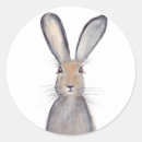 Search for hare paintings postcards Nature