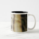 Search for arctic wolf mugs Nature