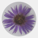 Search for aster stickers Purple