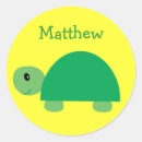 Search for cute green turtle stickers Cartoon