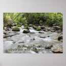 Search for beautiful forest posters River