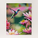 Search for hummingbird puzzles Beautiful