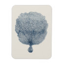 Search for fans magnets Blue