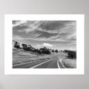 Search for roads photography Trees