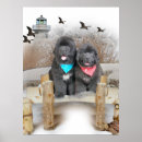 Search for newfies art Dogs