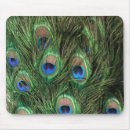 Search for peafowl mousepads Colourful