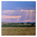 Search for set to tiles Africa