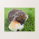Search for hedgehog puzzles Funny