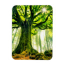 Search for tree trunks magnets Moss