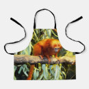 Search for primate aprons Monkey