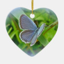 Search for meadow christmas tree decorations Butterfly