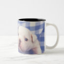 Search for often drinkware Cute