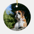 Search for white boxer christmas tree decorations Red and white