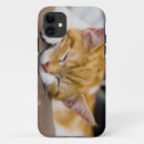 Search for cute baby kitten iphone cases Adorable
