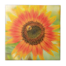 Search for bumblebee tiles Sunflower