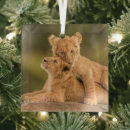 Search for wildcat christmas tree decorations Cute