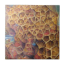 Search for honeycomb tiles Golden