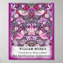 Search for strawberry posters Nature