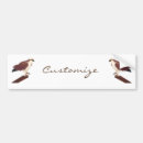 Search for raptor bumper stickers Hawk