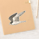 Search for raptor stickers Birds
