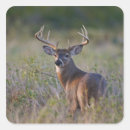 Search for white deer stickers Autumn