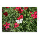 Search for flax Flowers