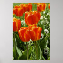 Search for spring garden posters Nature