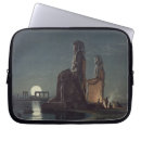 Search for carle cases After