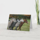 Search for horse racing cards Animal