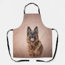 Search for pedigree aprons Dog