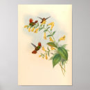 Search for hummingbird art Wall