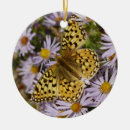 Search for aster christmas tree decorations Flower