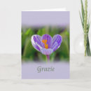 Search for grazie cards Floral